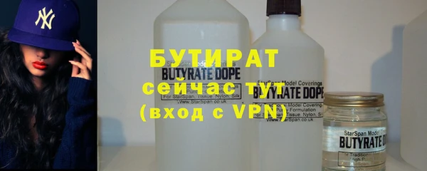 твердый Инсар