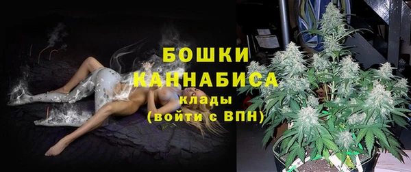 гашик Инта