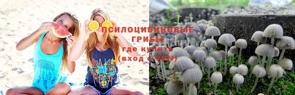2c-b Алзамай