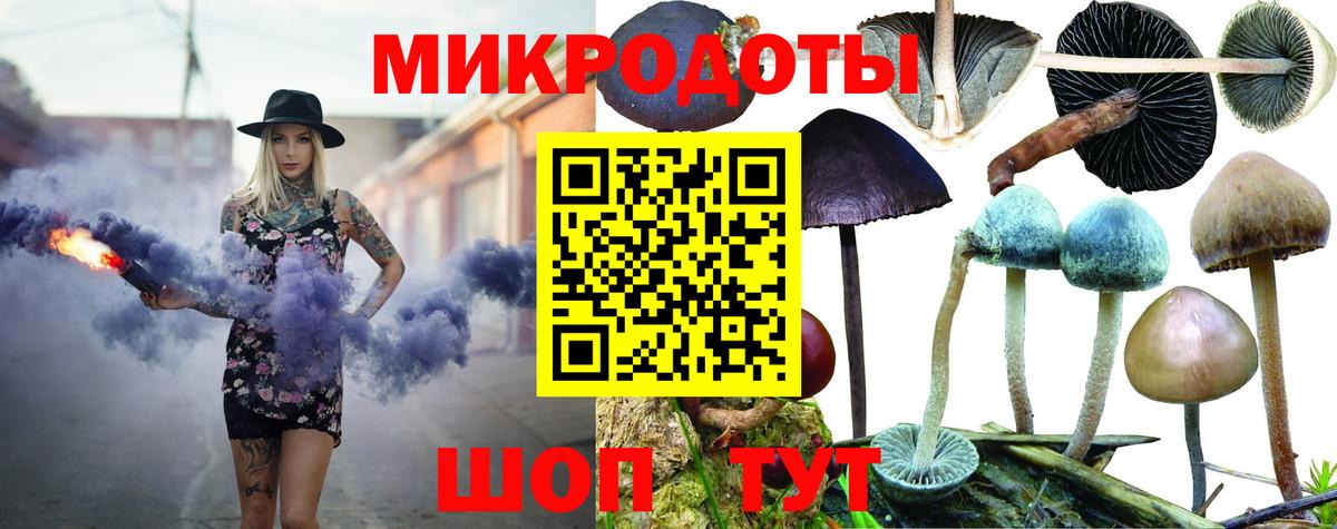 Галлюциногенные грибы Psilocybe Красногорск
