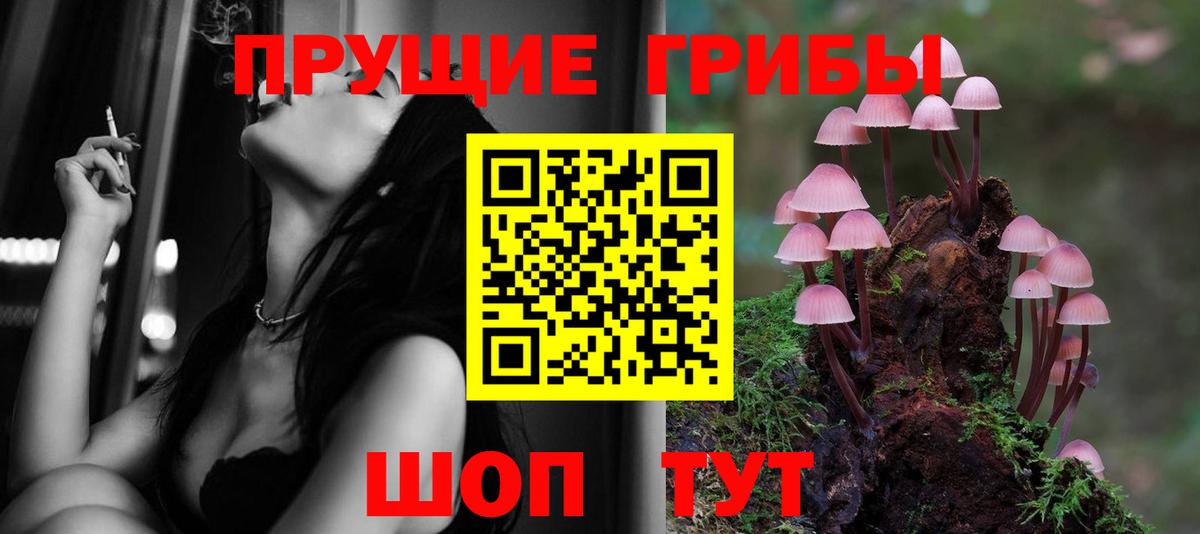 Красногорск  Псилоцибиновые грибы прущие грибы  Вход с VPN  Псилоцибиновые грибы Psilocybine cubensis 