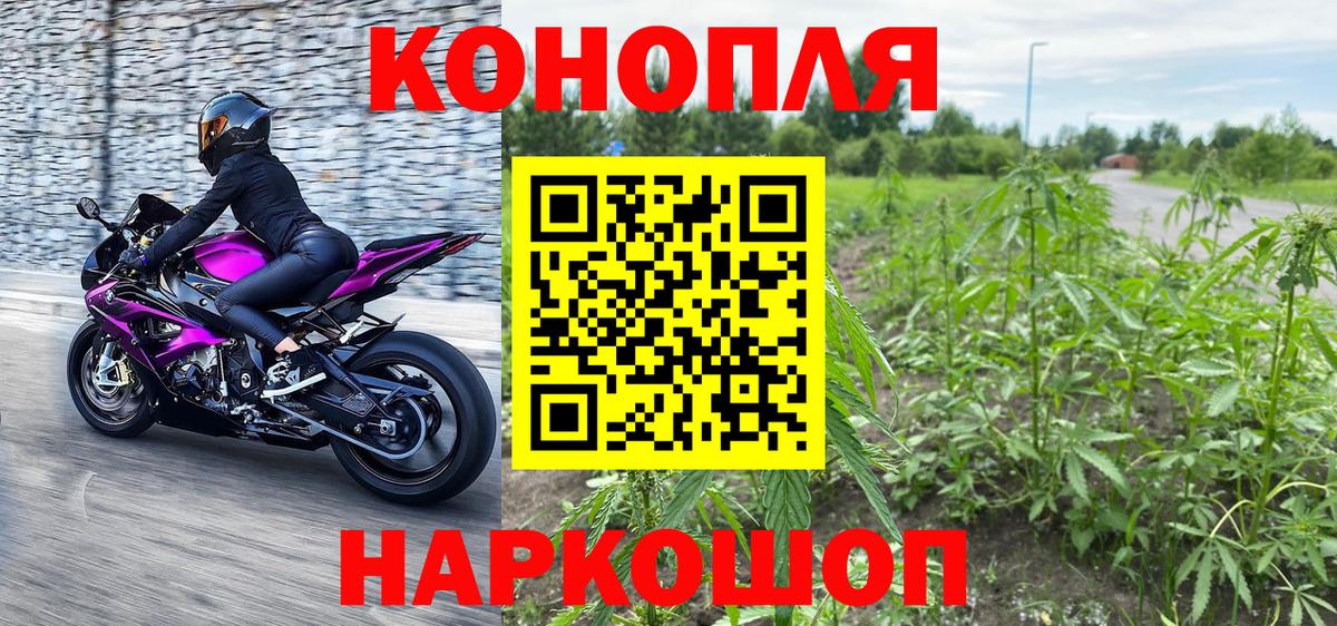 Каннабис ГИДРОПОН  Вход с VPN  Красногорск  Бошки Шишки индика 